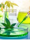 Cannabis Testing Market Analysis North America, Europe, Asia, Rest of World (ROW) - US, Canada, UK, Germany, China - Size and Forecast 2024-2028