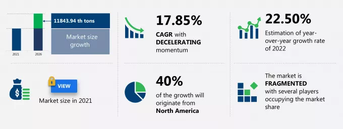 Magnetite Nanoparticles Market Size