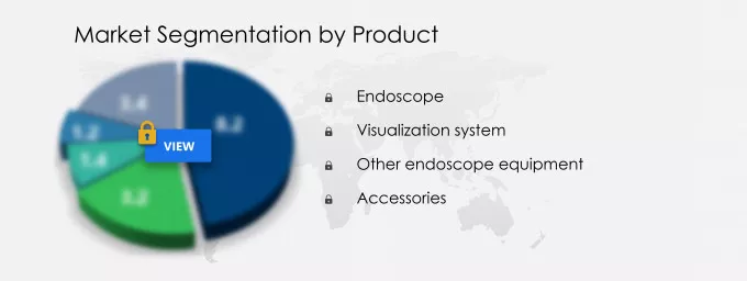 Endoscopy Devices Market Segmentation