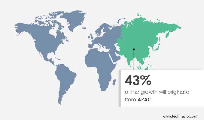 Mens Underwear Market Share by Geography