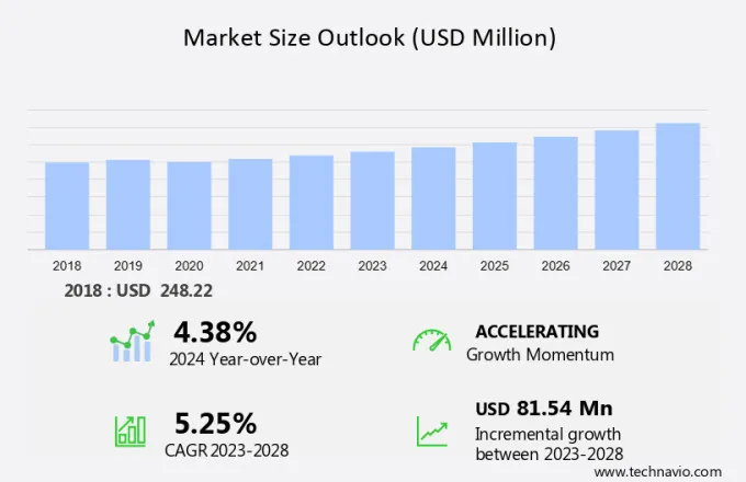 Bodyboard Market Size