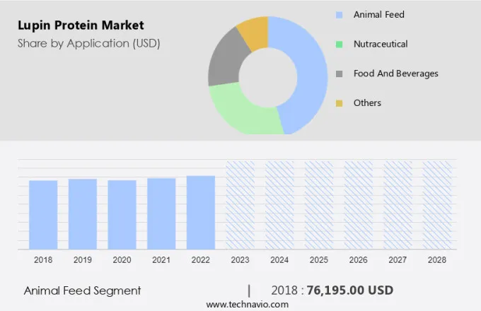 Lupin Protein Market Size