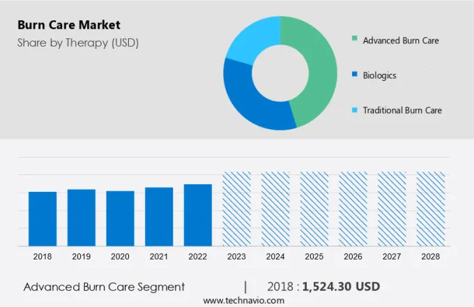 Burn Care Market Size