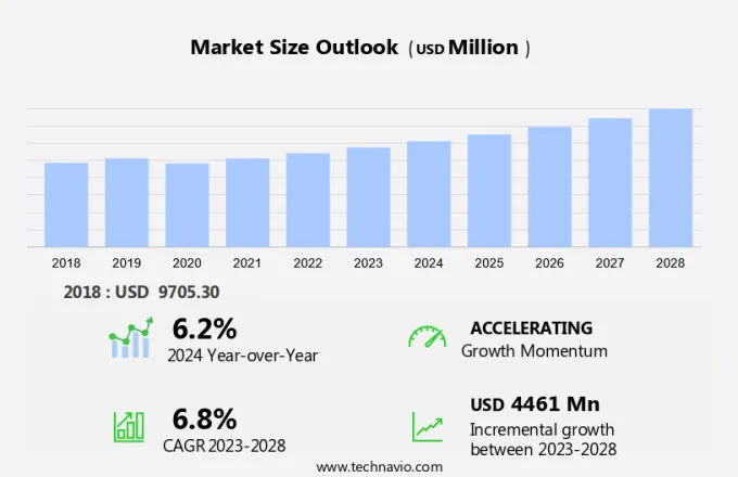 Mining Chemicals Market Size