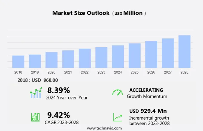 Paracetamol Market Size