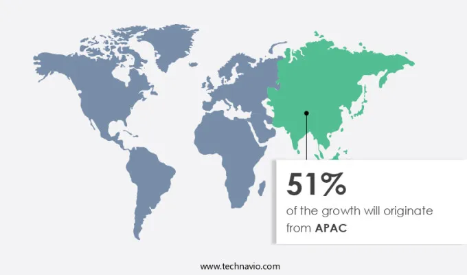 Online Apparel Retailing Market Share by Geography