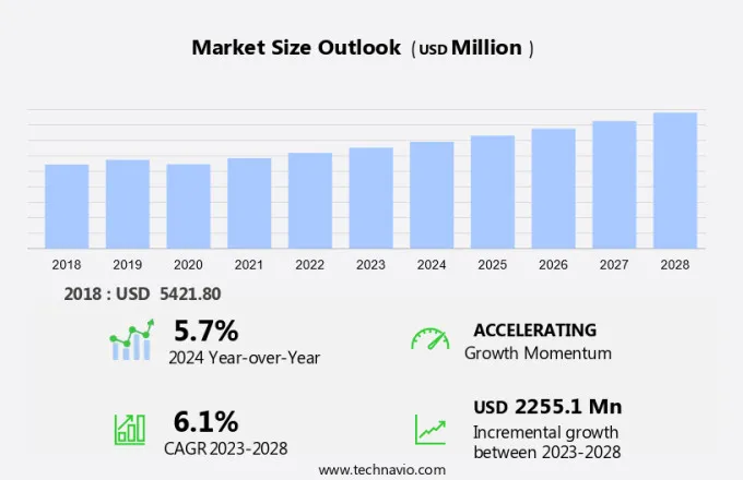 Industrial Enzymes Market Size