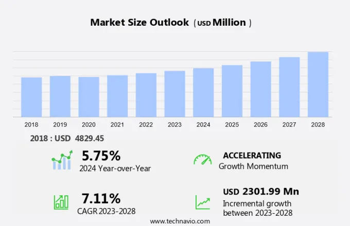 Safety Shoes Market Size