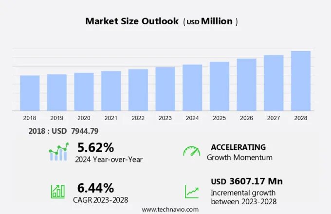 Customs Audit Market Size