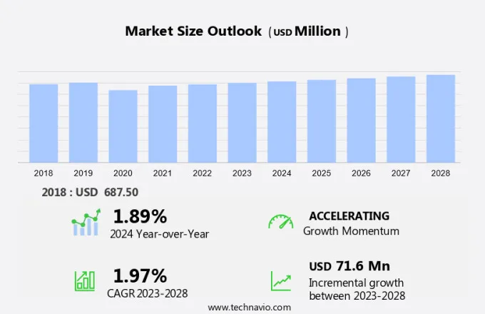 Squash Equipment Market Size