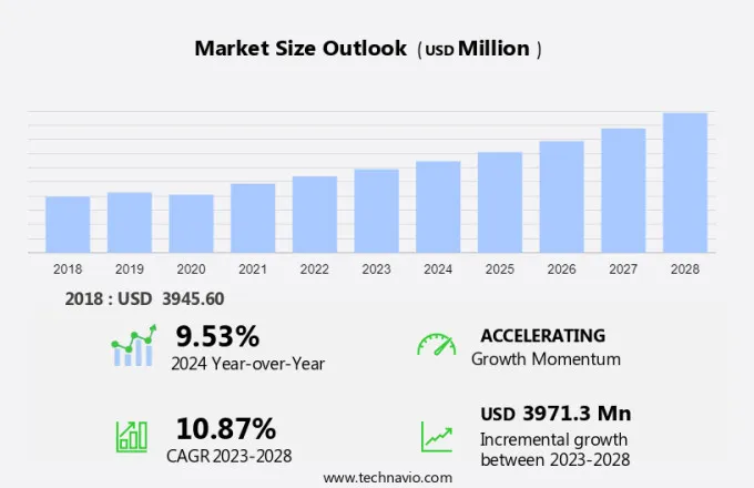 Dietary Fiber Market Size