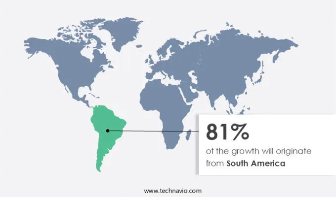 Yerba Mate Market Share by Geography