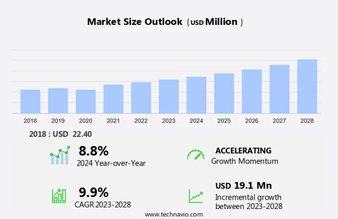 Bamboo Toothbrush Market Size