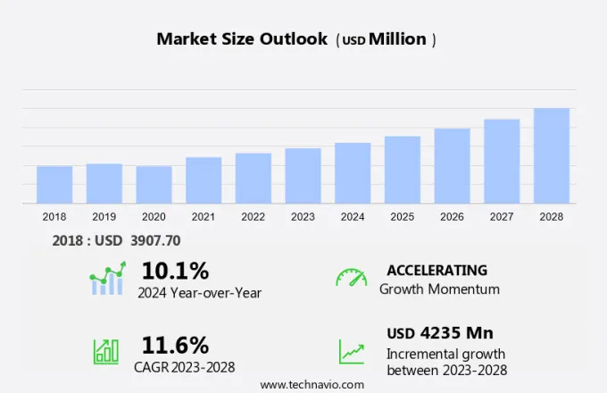 Wheat Gluten Market Size