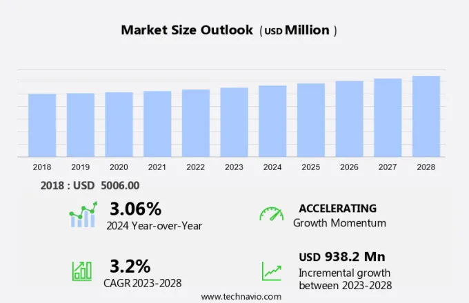 Skating Shoes Market Size