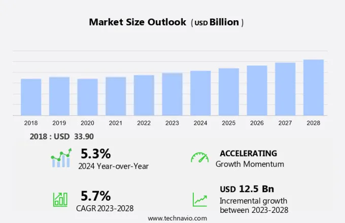 Borescope Market Size