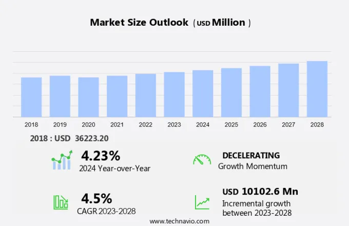 Rapeseed Oil Market Size