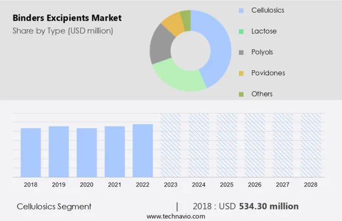 Binders Excipients Market Size