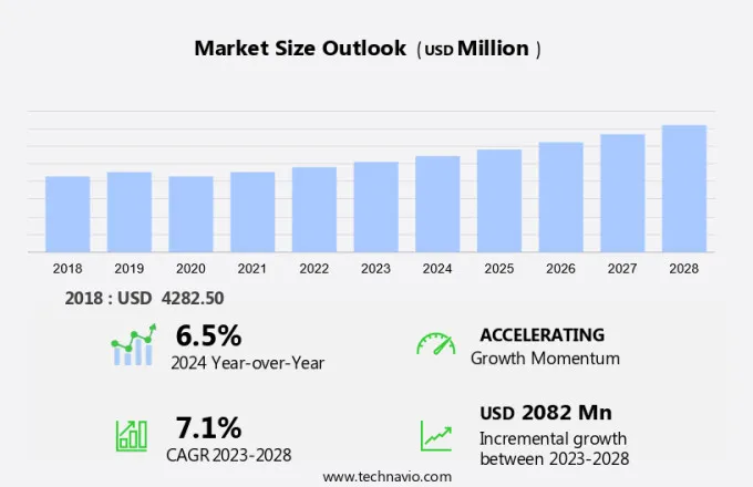 Curing Agent Market Size