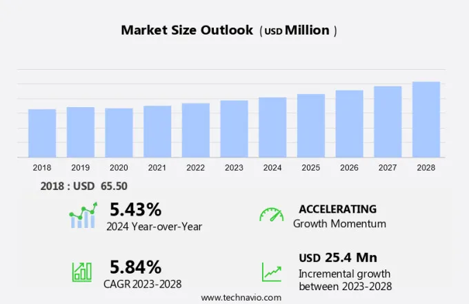 Liquid Smoke Market Size