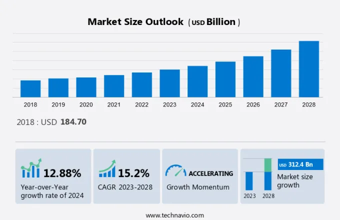 Software Consulting Market Size