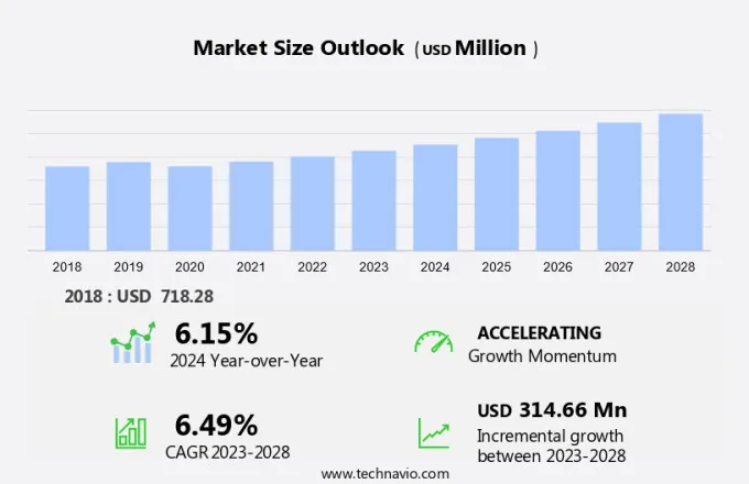 Camping Cooler Market Size