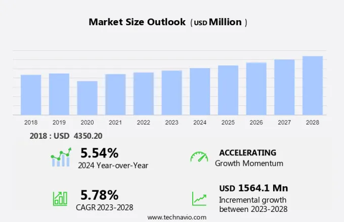 Polarized Sunglasses Market Size