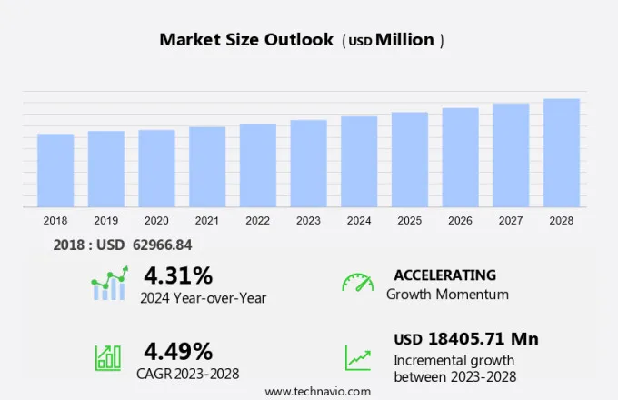 Starch Market Size