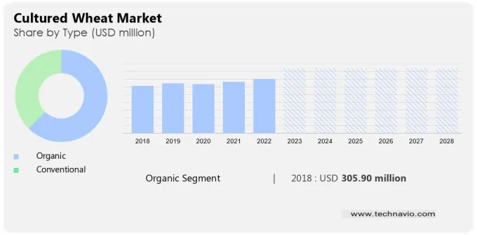 Cultured Wheat Market Size