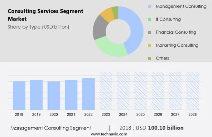 Consulting Services Segment Market Size