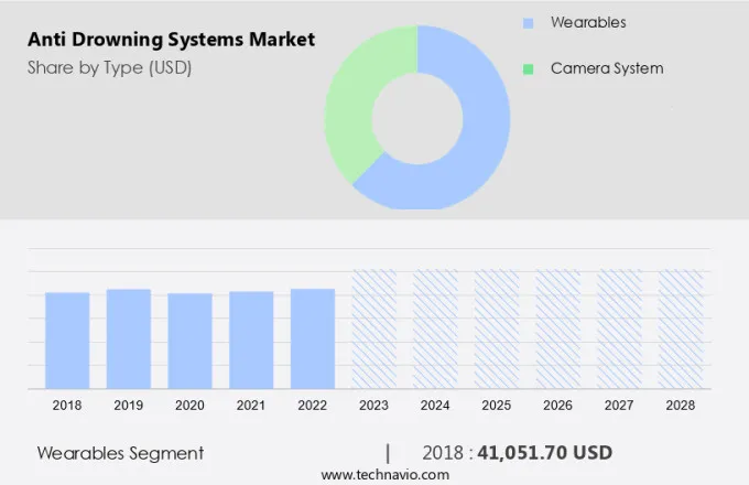 Anti Drowning Systems Market Size