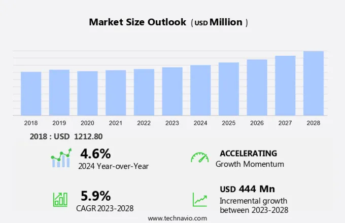 Neopentane Market Size